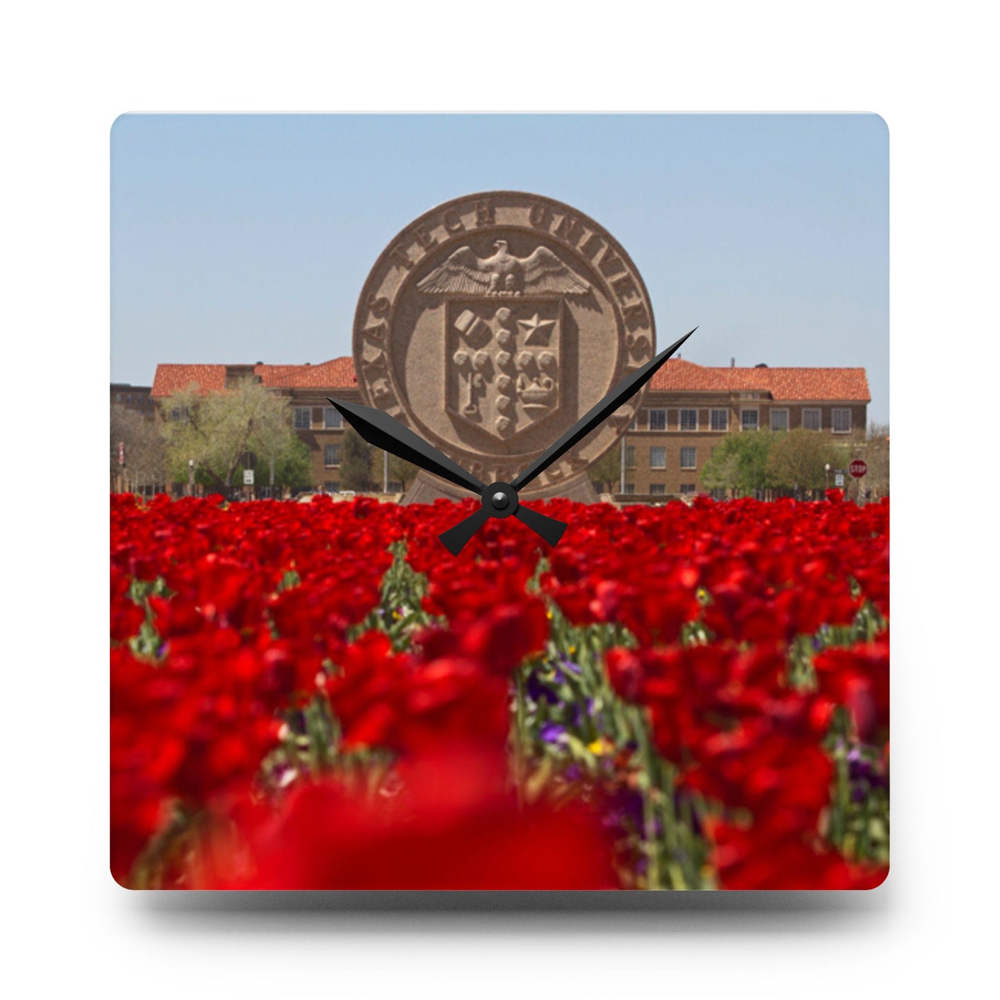Texas Tech Inspired Floral Field Wall Clock | Acrylic Round or Square Clock | 8” or 10.75” Sizes | Red Poppy Landscape Clock | Dorm & Office Decor