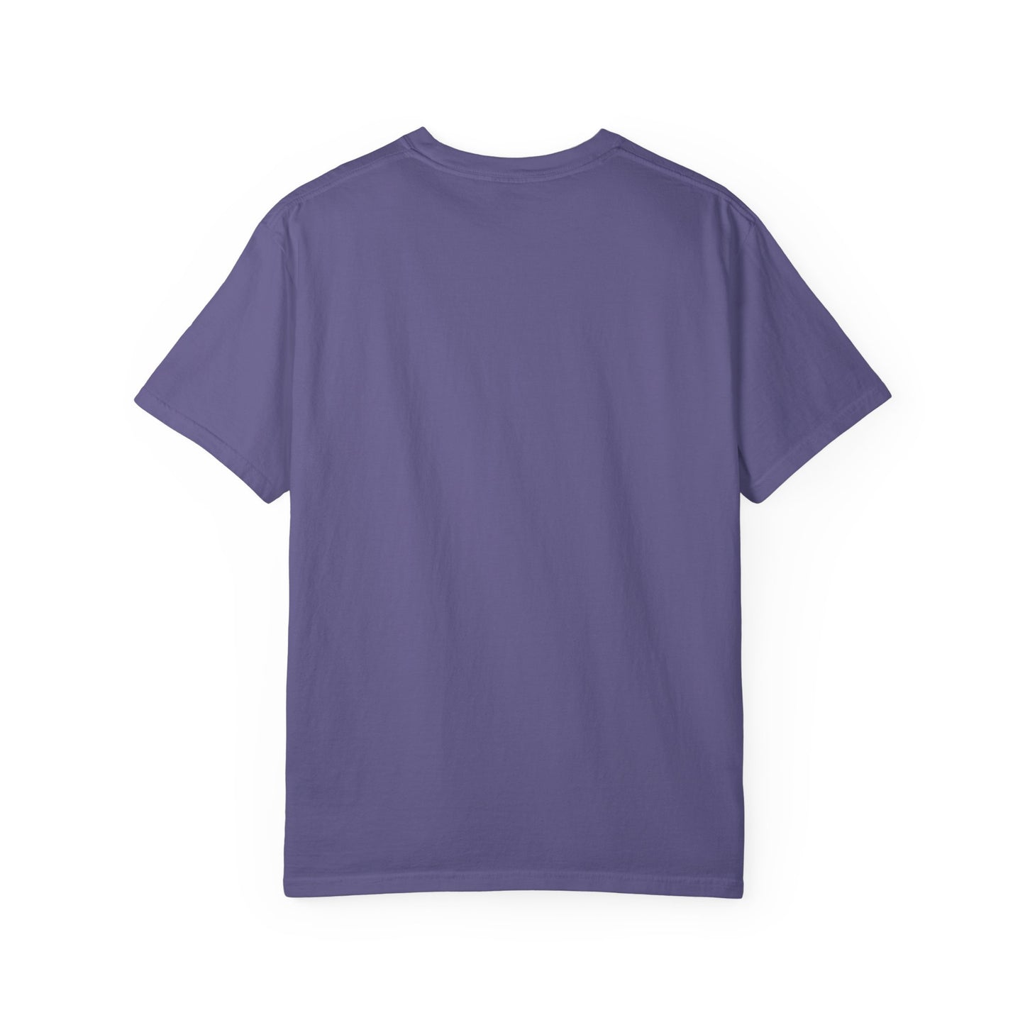 Tarleton State University Comfort Colors T-Shirt, Casual Tee, College Apparel, Gift for Students, Tarleton State