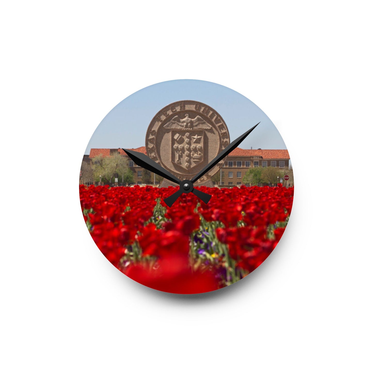 Texas Tech Inspired Floral Field Wall Clock | Acrylic Round or Square Clock | 8” or 10.75” Sizes | Red Poppy Landscape Clock | Dorm & Office Decor