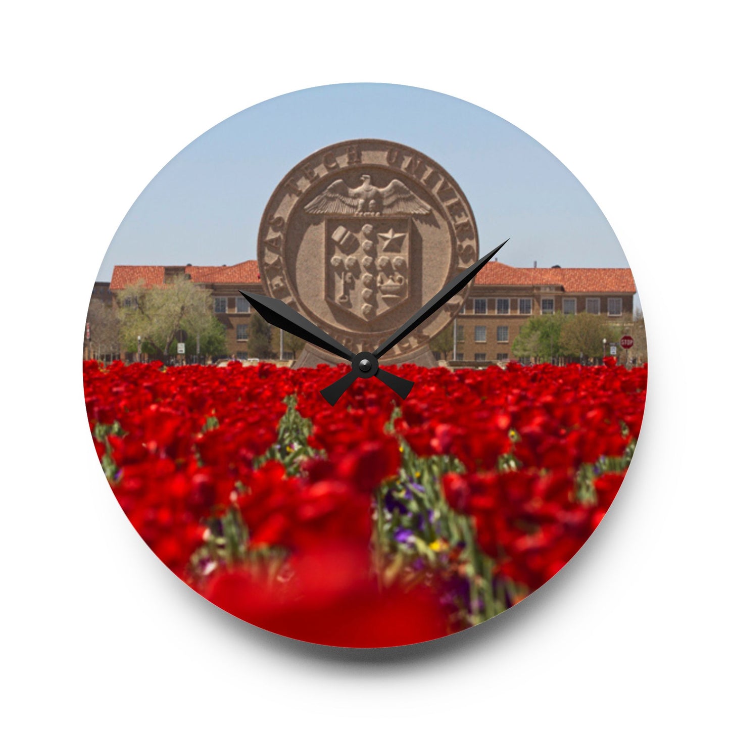 Texas Tech Inspired Floral Field Wall Clock | Acrylic Round or Square Clock | 8” or 10.75” Sizes | Red Poppy Landscape Clock | Dorm & Office Decor
