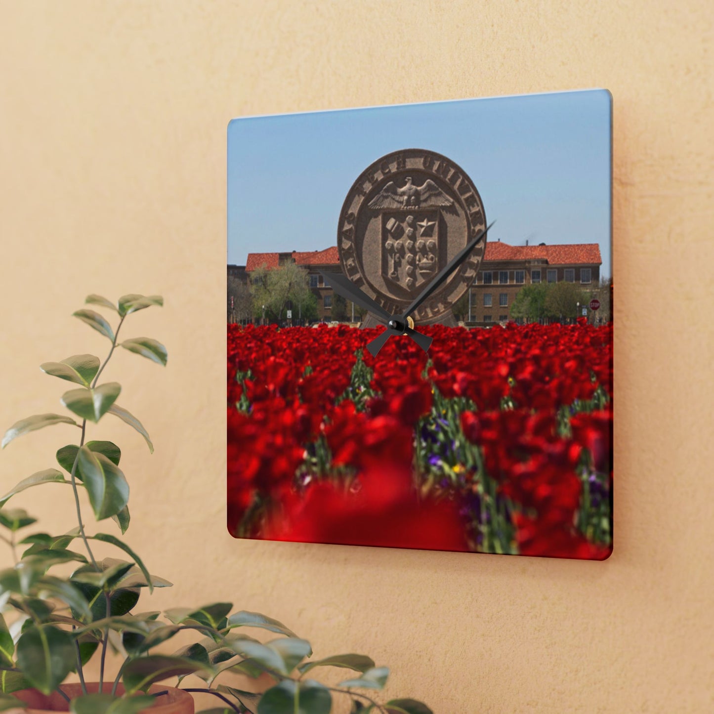 Texas Tech Inspired Floral Field Wall Clock | Acrylic Round or Square Clock | 8” or 10.75” Sizes | Red Poppy Landscape Clock | Dorm & Office Decor