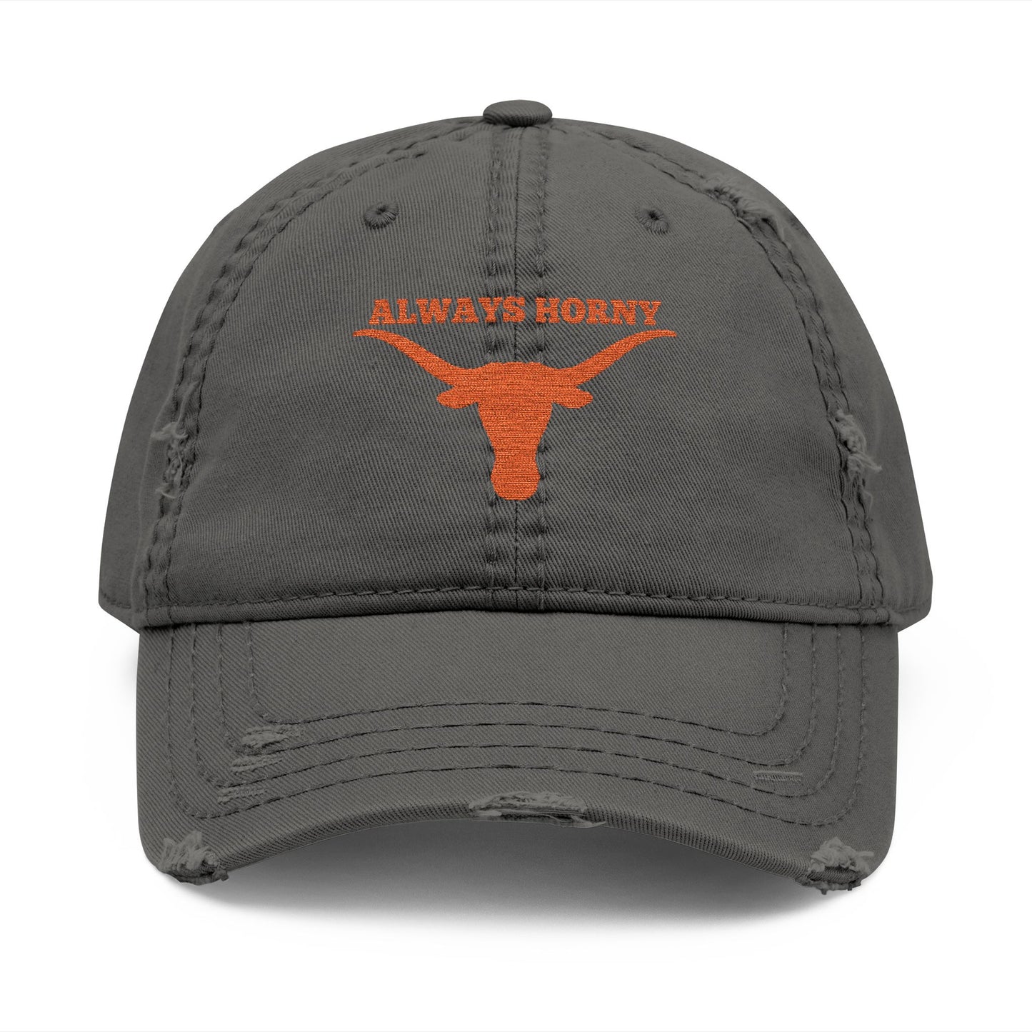 Always Horny Distressed Hat, Funny Hat Gift, Embroidered Cap, Outdoor Accessories, University of Texas Cap, UT Hat, Texas Longorn Hat